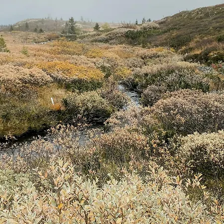 Prázdninový dům Traditional Mountain Near Hallingskarvet