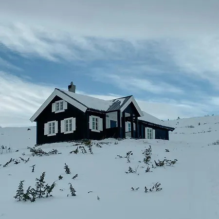 Feriehus Traditional Mountain Near Hallingskarvet *